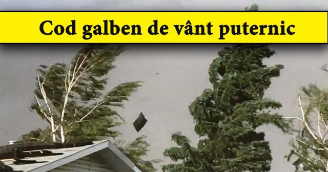 cod-galben-vant